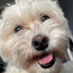 Aiden Mchugh - @aiden_mc_30 - Instagram