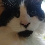 Aiden McIntyre - @earn_coins2003 - Instagram