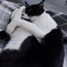 Aidan Mckenzie - Facebook