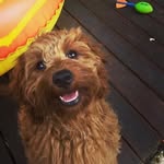 Aiden - @aiden.mcleod08 - Instagram
