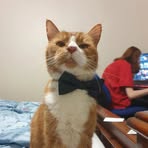 Aiden McLeod - Facebook