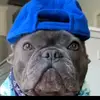 Rustog - @aidenmcmahon470 - TikTok