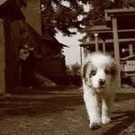 Aiden Meadows - @aidenmeadows - Instagram