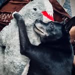 Aiden Meadows - @aiden___meadows - Instagram