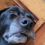 Aiden Meadows - Facebook