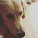 Aiden Merrill - @atmatb2017 - Instagram