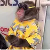 Aiden Milne - @aiden.milne - TikTok