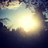 Aiden Milne - @aiden_milne9384 - TikTok