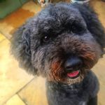 Aidan Moffat - @aidan_moffat07 - Instagram