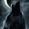 aidenmohammed7860 - @aidenmohammed7860 - TikTok