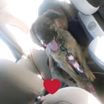 Aiden Juan molina - @aidenjuanmolina - Instagram