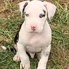 aiden moran - @aiden.moran6 - TikTok