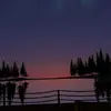 gator - @aidenmora1 - TikTok
