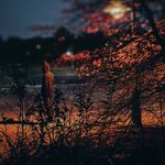 Aiden Morris - @aidenkmorris - Instagram