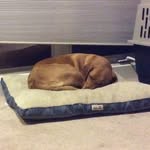 Play For Miburn - @aiden_morse_10 - Instagram
