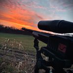 Aiden Morton - Facebook