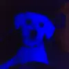 Aiden moses - @aiden._.moses - TikTok
