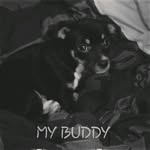 AIDEN MOSES - @moses_aiden - Instagram