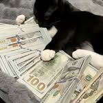 Aiden Moss - @ajay_mrmoneymaker - Instagram