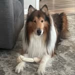 Aiden Mueller - @aiden_mueller_21 - Instagram