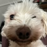 aiden - @aiden._munoz - Instagram