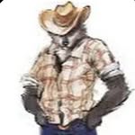 Aiden Munro - @wolf_cowboy2005 - Instagram