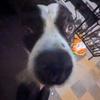 Aiden Murray - @aiden.murray5 - TikTok