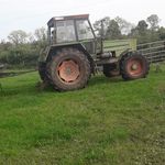 Aidan  Murtagh - @aidanmurtagh8 - Instagram