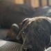 Aiden Nicholas Niedzielski - Facebook