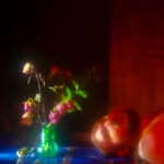 Nicholas Aiden - @nicholasaiden - Instagram