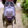 Aiden ochoa - @aidenochoa69 - TikTok