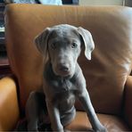 Aidan Orr - Facebook