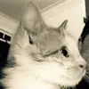 aiden_orr1 - @aiden_orr1 - TikTok