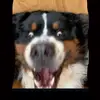 Aiden_Orr - @aiden_orr - TikTok