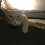 Aiden Ortiz - @aiden_ortiz2332 - Instagram