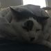 Aiden Ott - Facebook