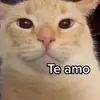 tbptooo - @aidenpacheco3 - TikTok