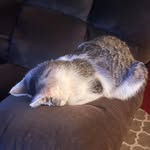 Aiden Park - @ap_kworca77 - Instagram