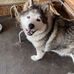 Aiden Payne - Facebook