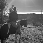 Aiden Peterson - Facebook