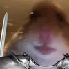 Aidan Petty829 - @hamster_squire - TikTok