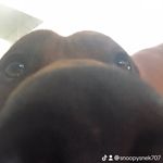 Aiden Petty - @snoopy_pants2 - Instagram