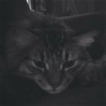 aiden petty - @pettyaiden - Instagram