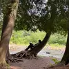 aiden - @aiden.k.pham - TikTok