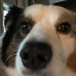 Aiden Pham - @aidenpham782 - Instagram
