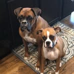 Aiden Pitts - Facebook