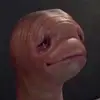 aiden.poe - @aiden.poe - TikTok