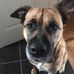 Aiden Power - Facebook