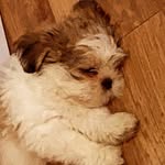 Aiden Prince - @dead_._._.13 - Instagram