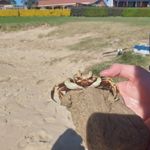 Aden Randall - @death.11223344 - Instagram